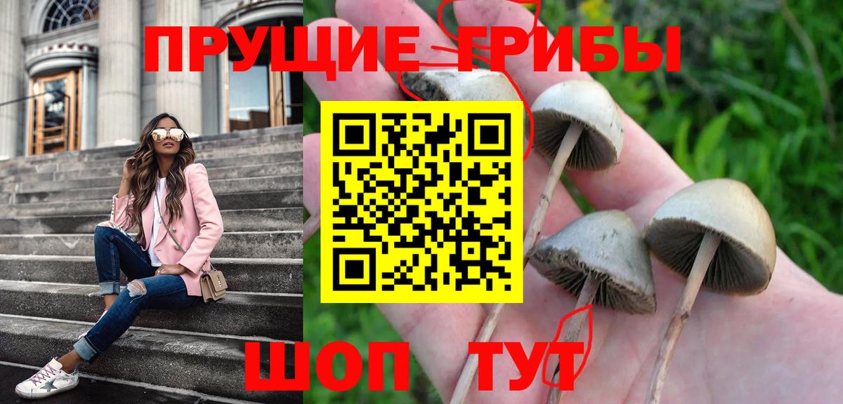 Галлюциногенные грибы MAGIC MUSHROOMS Тольятти